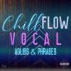 【CHILL风格人声采样】HQO VOCAL ADLIBS AND PHRASES - CHILL FLOW WAV