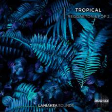 【Reggaeton&Pop风格采样音色】Laniakea Sounds Tropical Reggaeton And Pop 2 WAV-FLARE