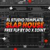 【FL Studio工程模板】Slap House FL Studio Template by DC X ZOINT